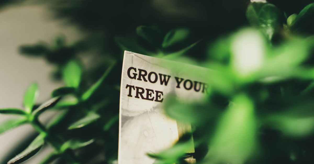 Close-up of sign with 'Grow Your Tree' surrounded by green foliage, conveying growth theme.
